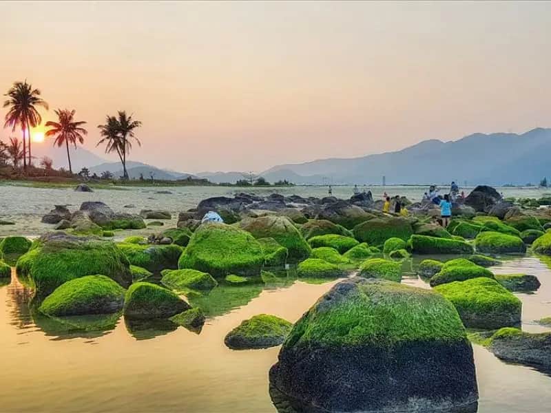 Bãi rêu Nam Ô – Vẻ đẹp kỳ ảo giữa lòng Đà Nẵng