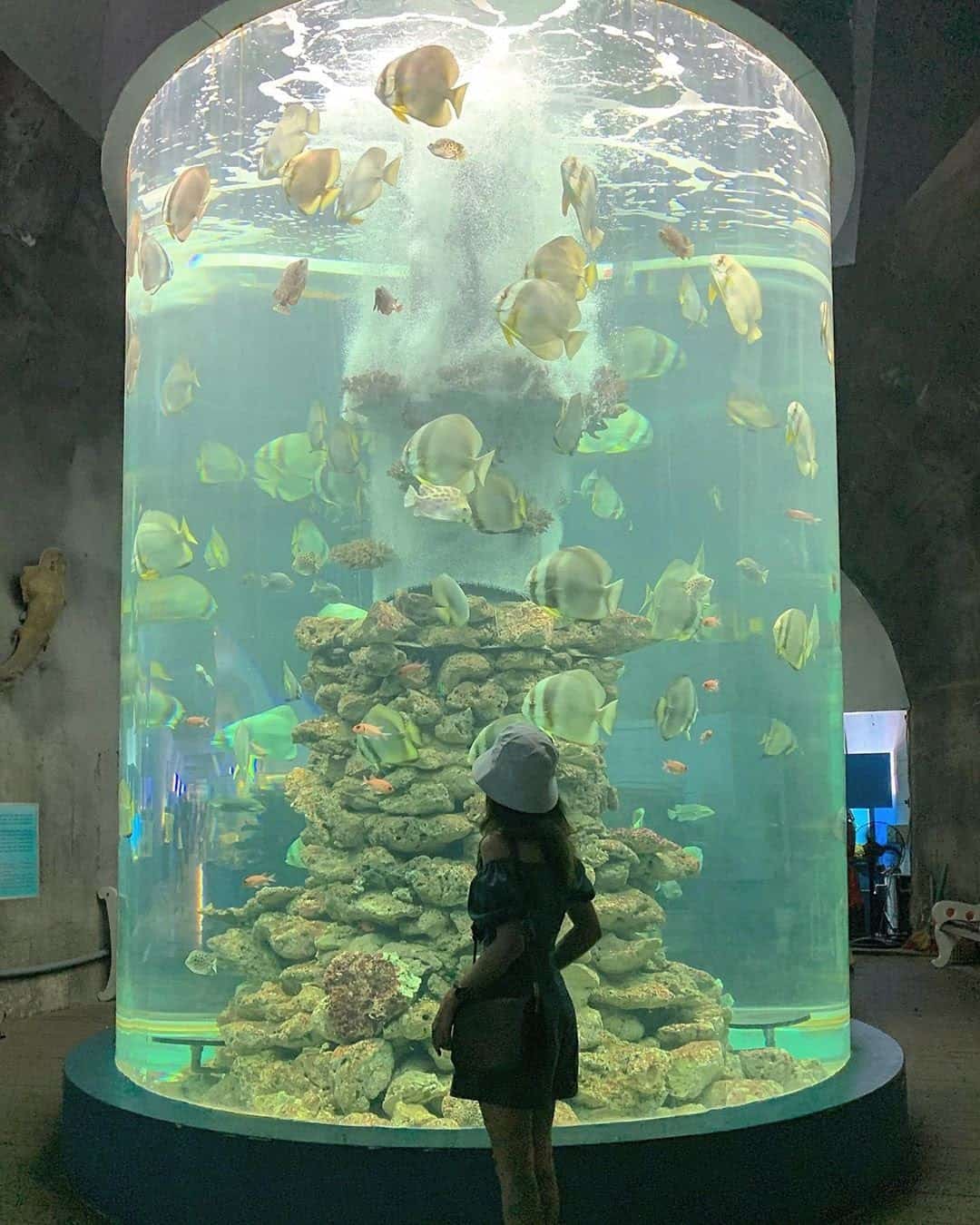 image 2025 06 12T195538 093