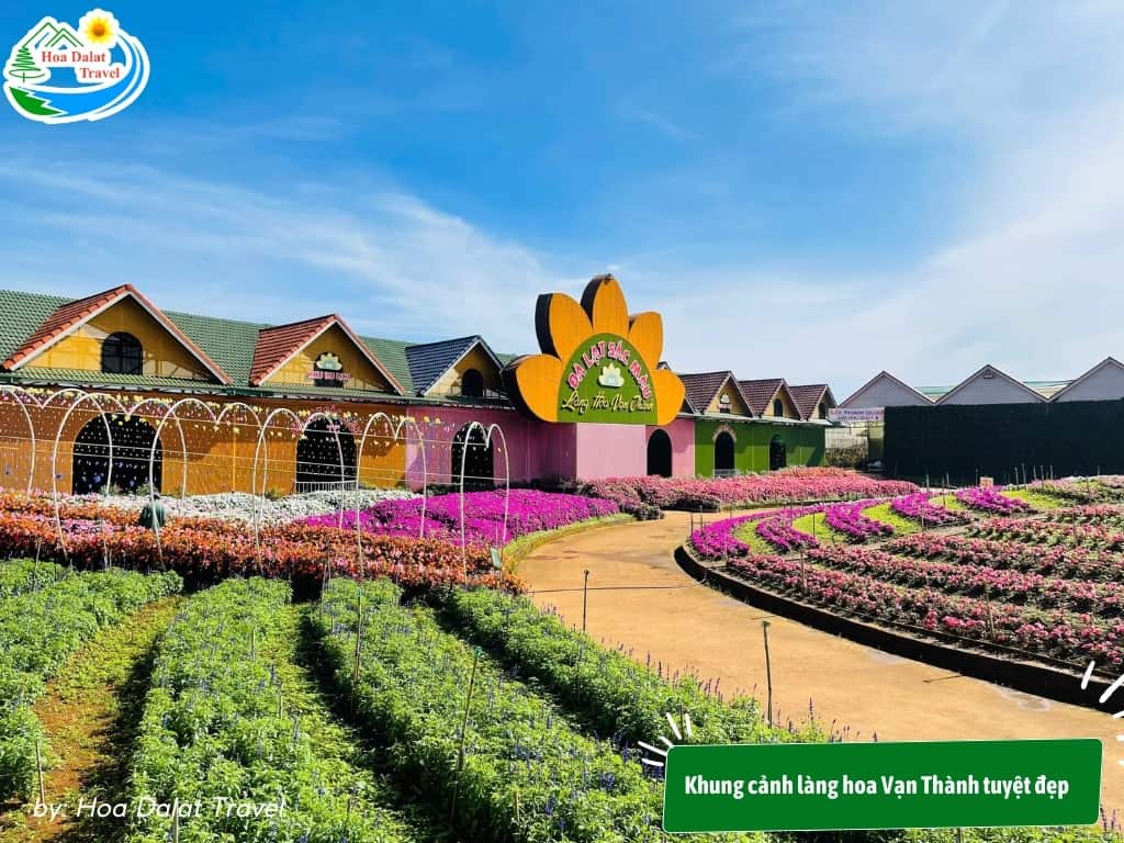 Làng hoa Vạn Thành – Bức tranh rực rỡ giữa lòng Đà Lạt