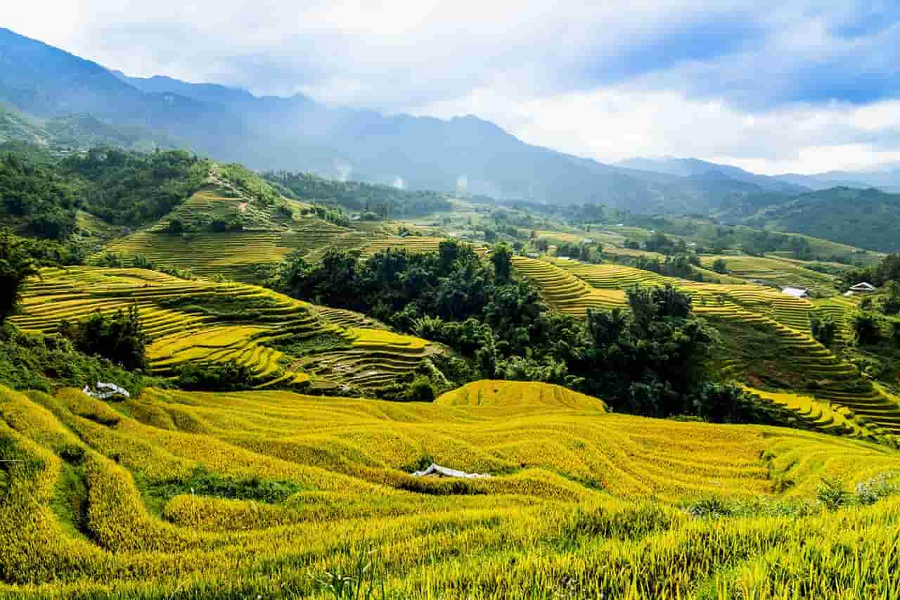 Ruộng bậc thang Y Tý – Tuyệt tác thiên nhiên giữa lưng trời Tây Bắc