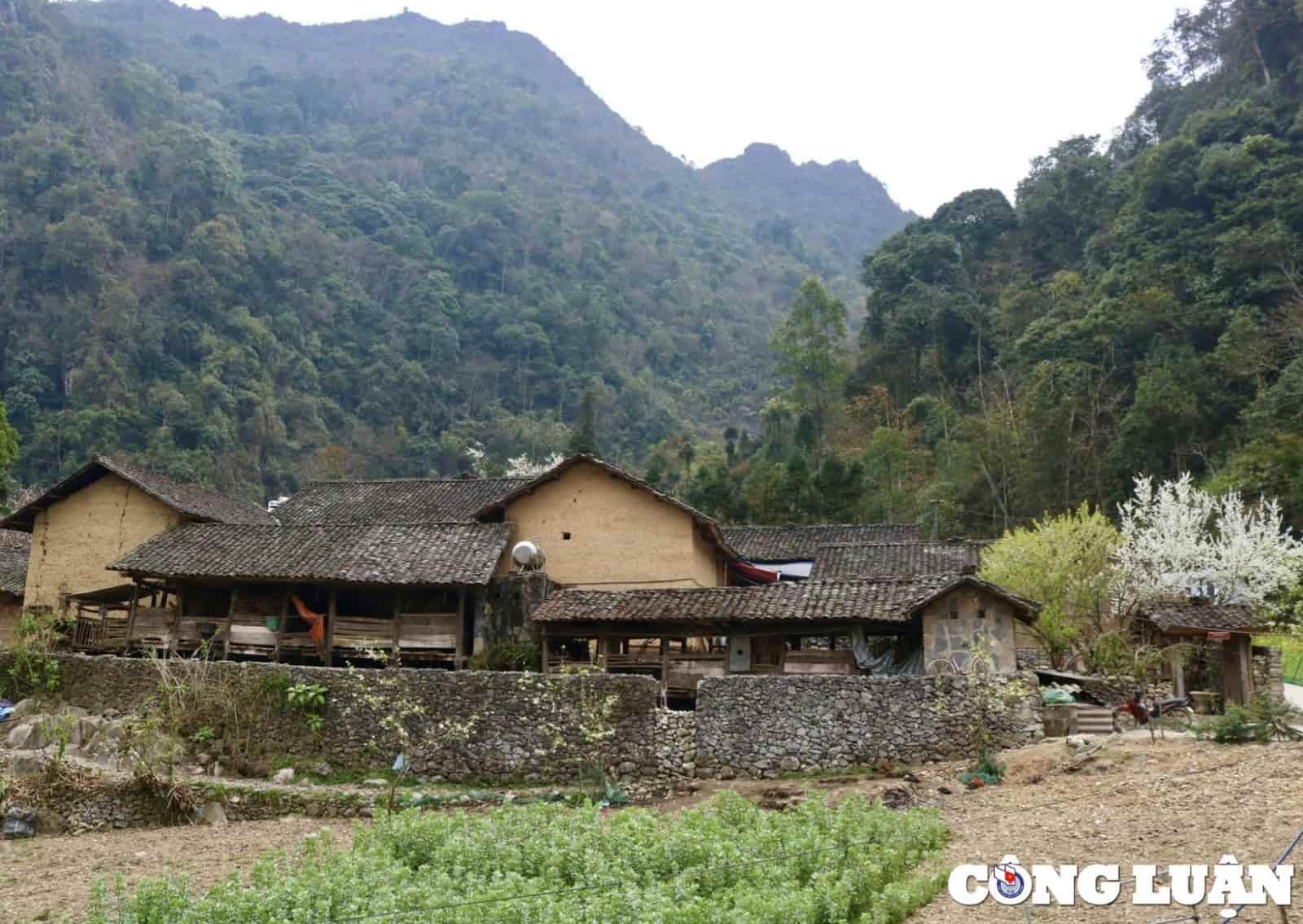 Làng văn hóa du lịch Lũng Cẩm – Vẻ đẹp nguyên sơ giữa cao nguyên đá Hà Giang