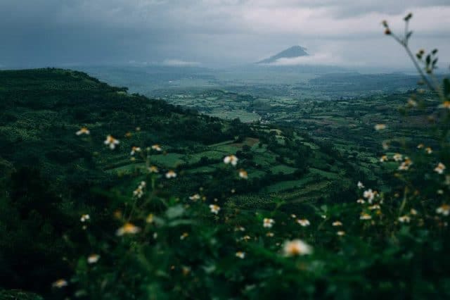 Cao nguyên Vân Hòa – Đà Lạt thu nhỏ giữa lòng Phú Yên
