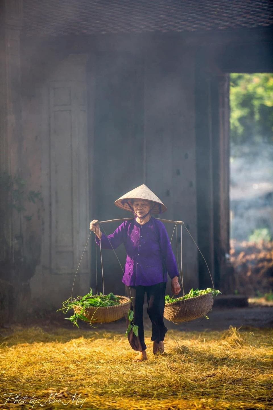Làng cổ Đường Lâm – Nét đẹp trầm mặc giữa lòng xứ Đoài