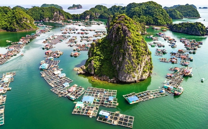 Làng chài Cái Bèo – Vẻ đẹp bình yên giữa lòng vịnh biển