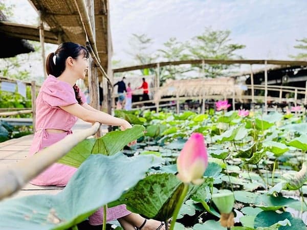 Khu ẩm thực sinh thái Sen Nam Bộ – Hồn quê giữa lòng phố thị