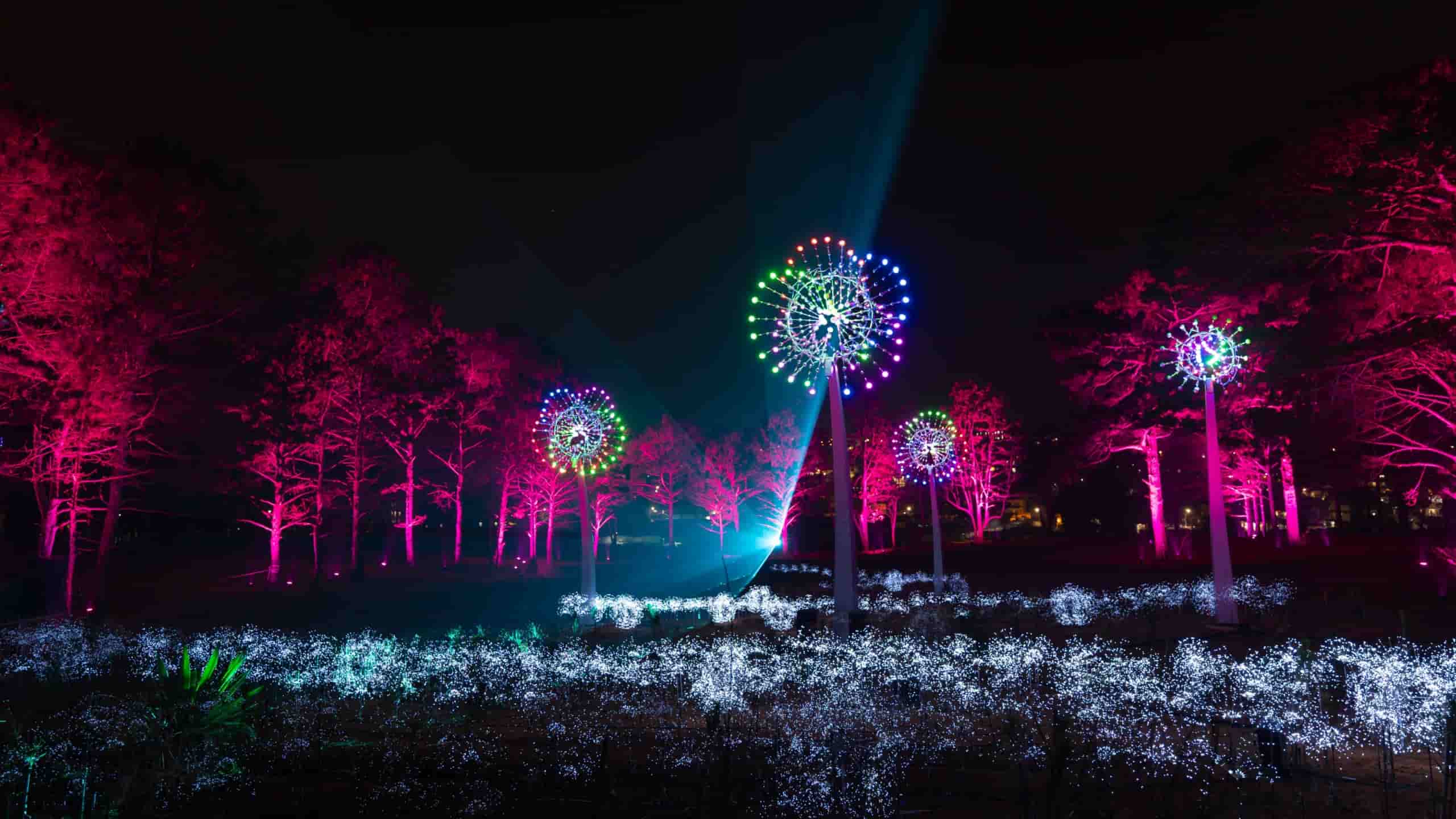 Delight Park Đà Lạt – Khu tổ hợp giải trí giữa thiên nhiên lãng mạn xứ ngàn hoa