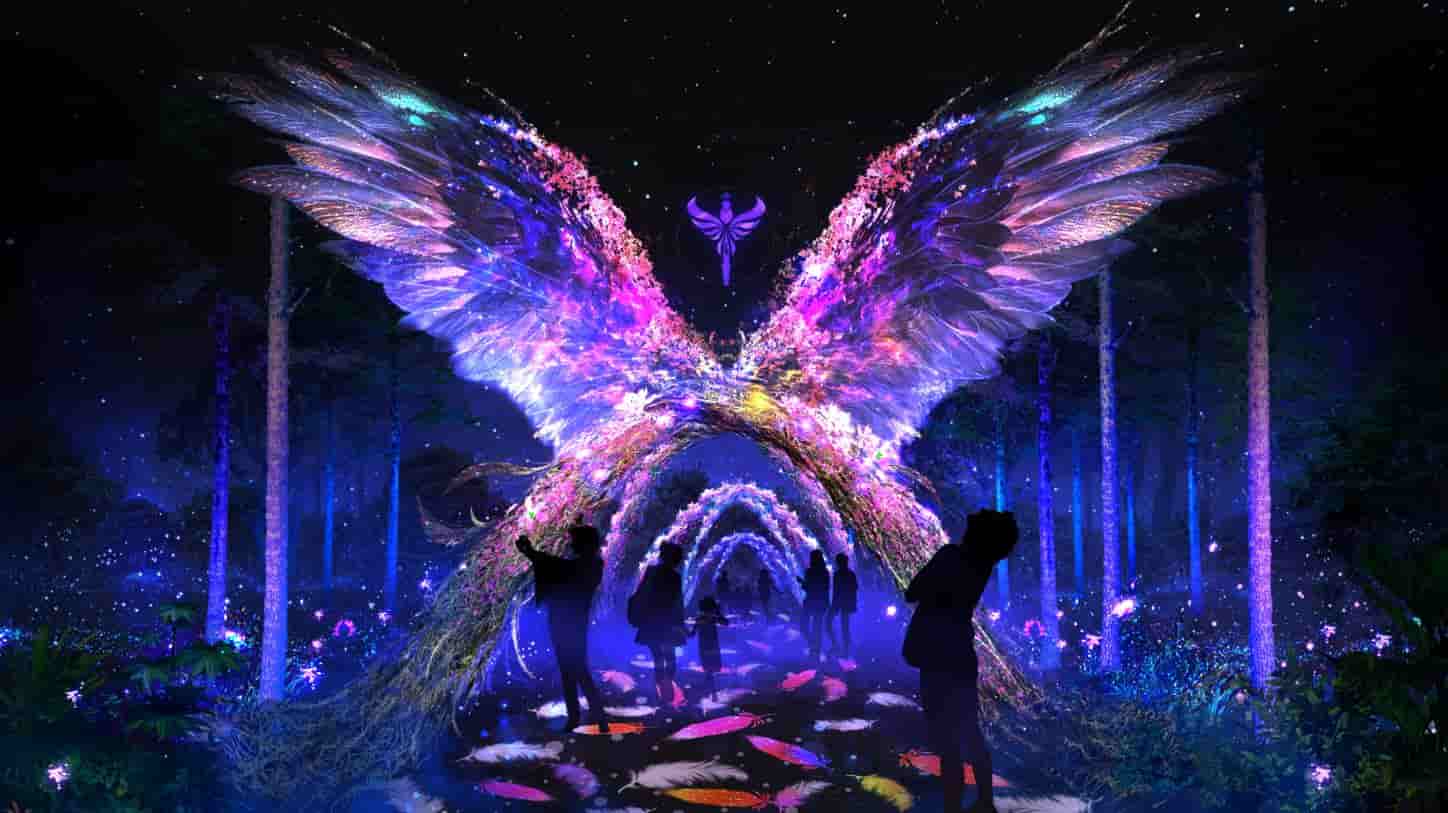 Delight Park Đà Lạt – Khu tổ hợp giải trí giữa thiên nhiên lãng mạn xứ ngàn hoa