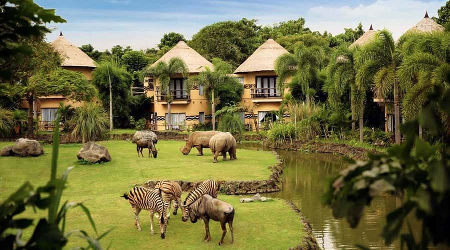 River Safari Nam Hội An – Chuyến phiêu lưu giữa rừng hoang dã miền Trung