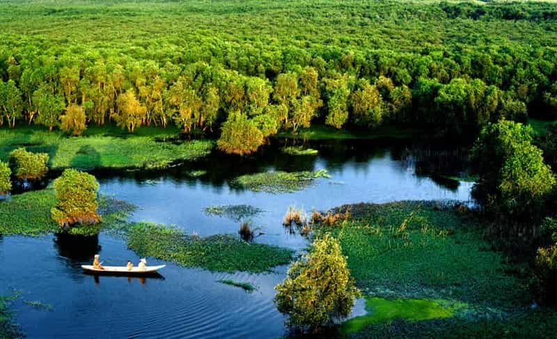Rừng Tràm Trà Sư – Vẻ đẹp kỳ thú giữa lòng An Giang