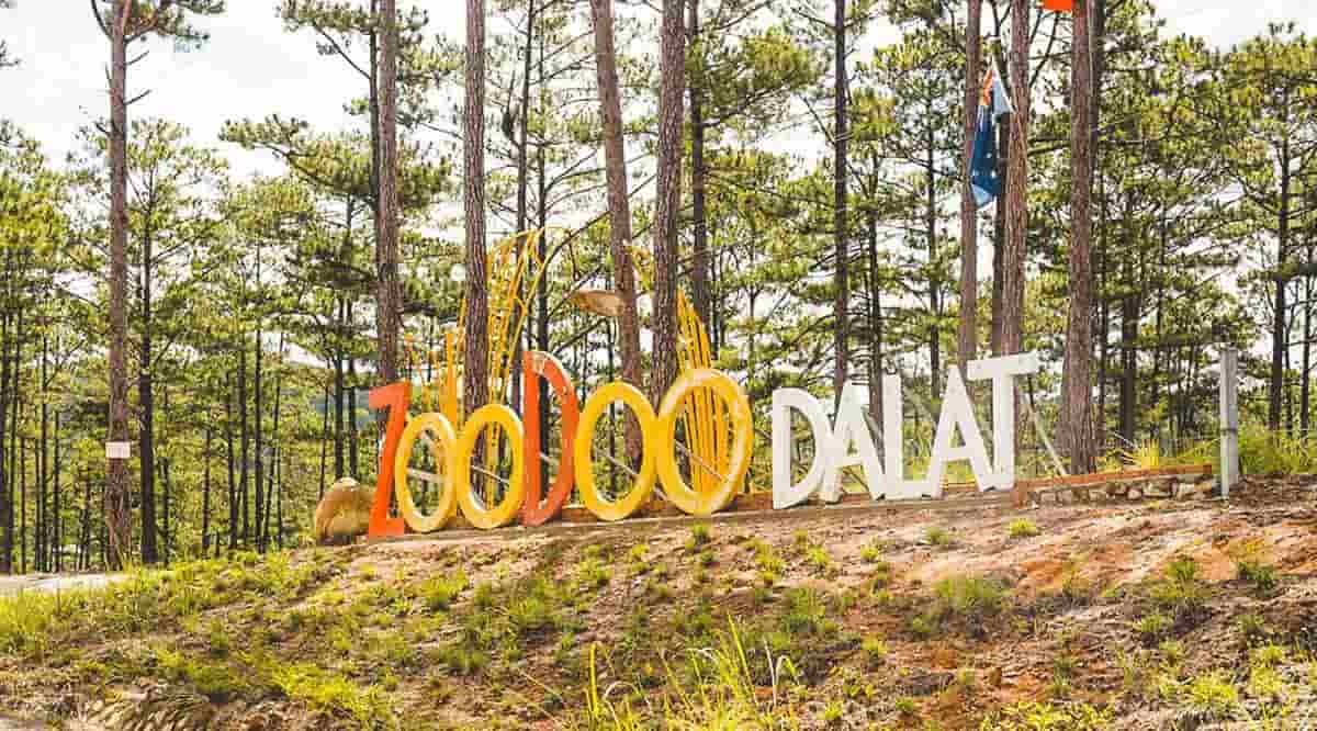Zoodoo – Vườn thú thân thiện giữa lòng Đà Lạt dành cho người yêu động vật