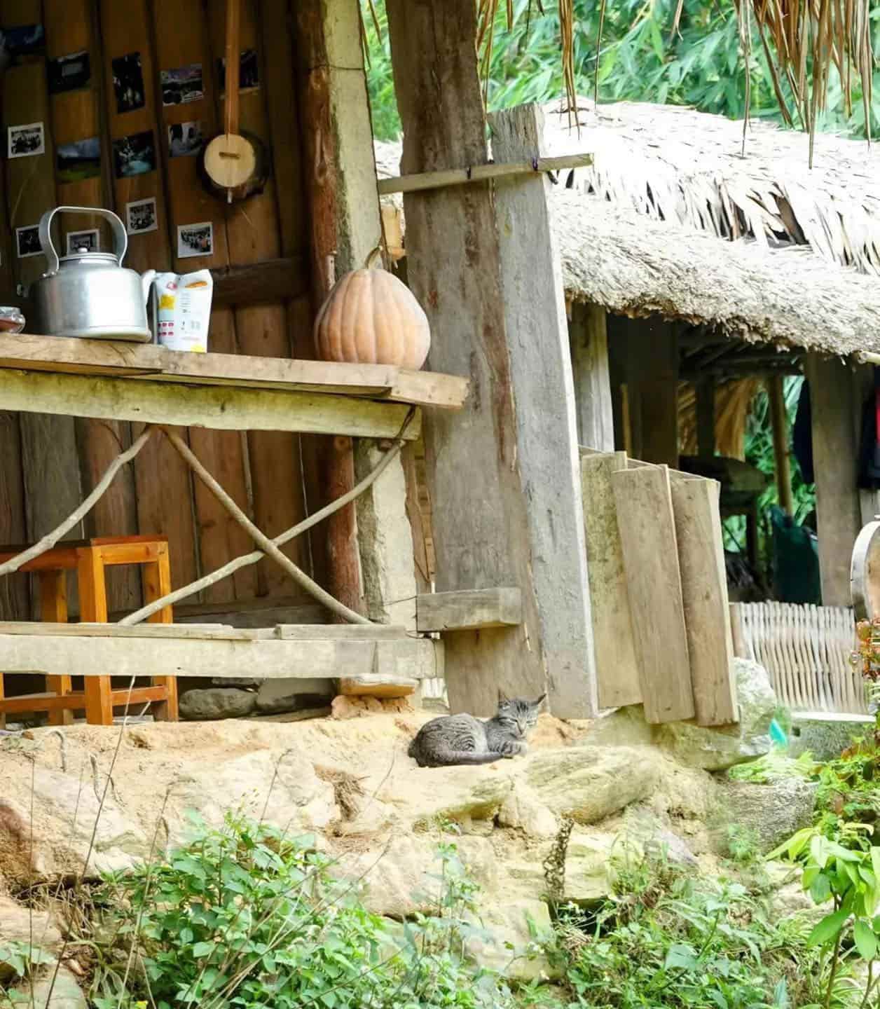 Bản Liền – Nơi Chạm Vào Hồn Tây Bắc Giữa Mây Trời Lào Cai