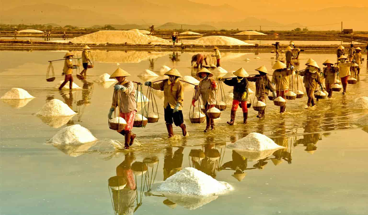 Cánh đồng muối Sa Huỳnh – Vùng trắng nắng gió của Quảng Ngãi