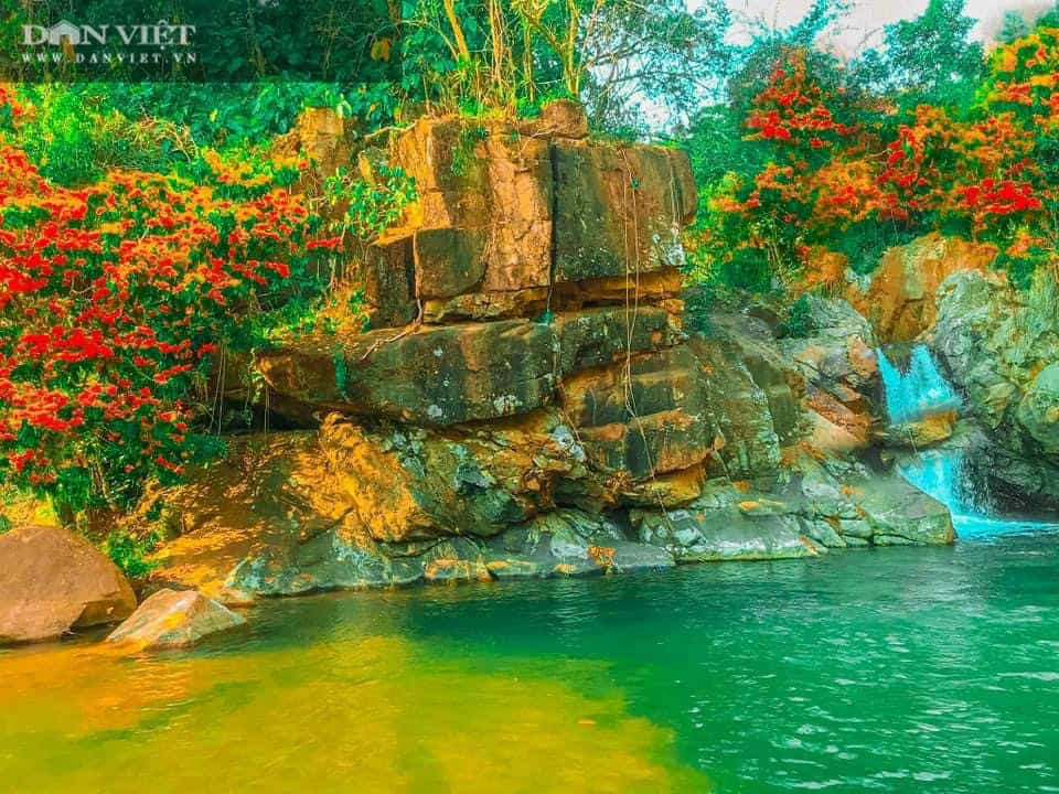 Suối Tà Má – Dòng Suối Hoang Sơ Giữa Đại Ngàn Bình Định