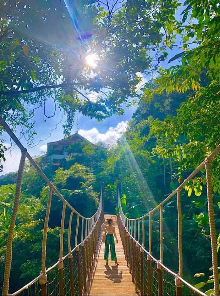 Cầu Mây Tam Đảo – “Góc Sống Ảo Triệu View” Giữa Lưng Chừng Mây Trời