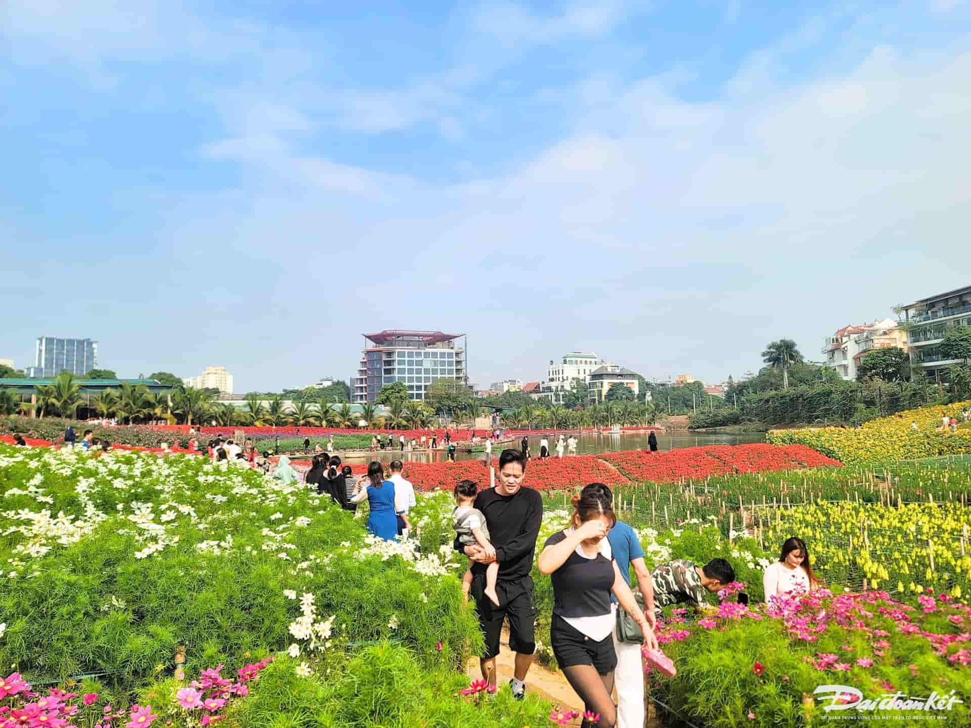 Thung Lũng Hoa Hồ Tây – “Chạm Vào Mùa Xuân” Giữa Lòng Thủ Đô