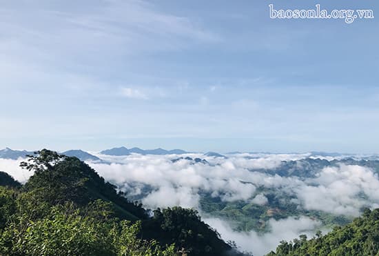 Đỉnh Sa Mu – U Bò 2.756m (Sơn La): Chạm tay vào tầng mây nơi đại ngàn Tây Bắc
