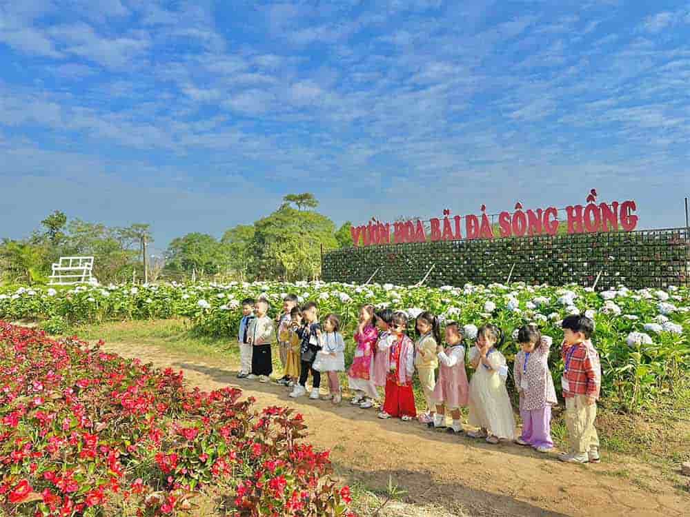 Bãi Đá Sông Hồng – Điểm Cắm Trại, Sống Ảo Giữa Lòng Hà Nội