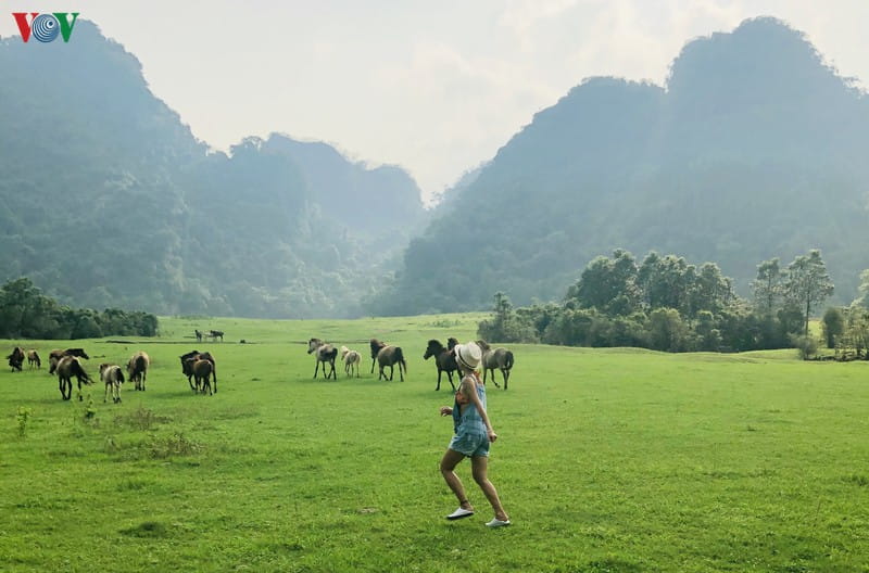 Thảo nguyên Đồng Lâm – Viên ngọc xanh giữa lòng Lạng Sơn