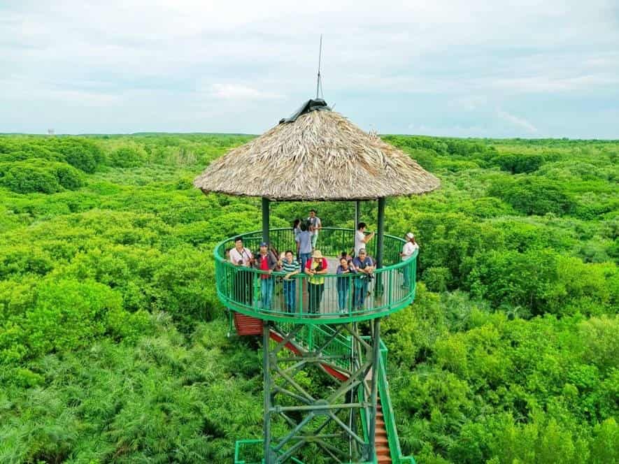 Rừng Sác Cần Giờ – Khám Phá Vùng Đất Thiên Nhiên Hoang Sơ Gần Sài Gòn