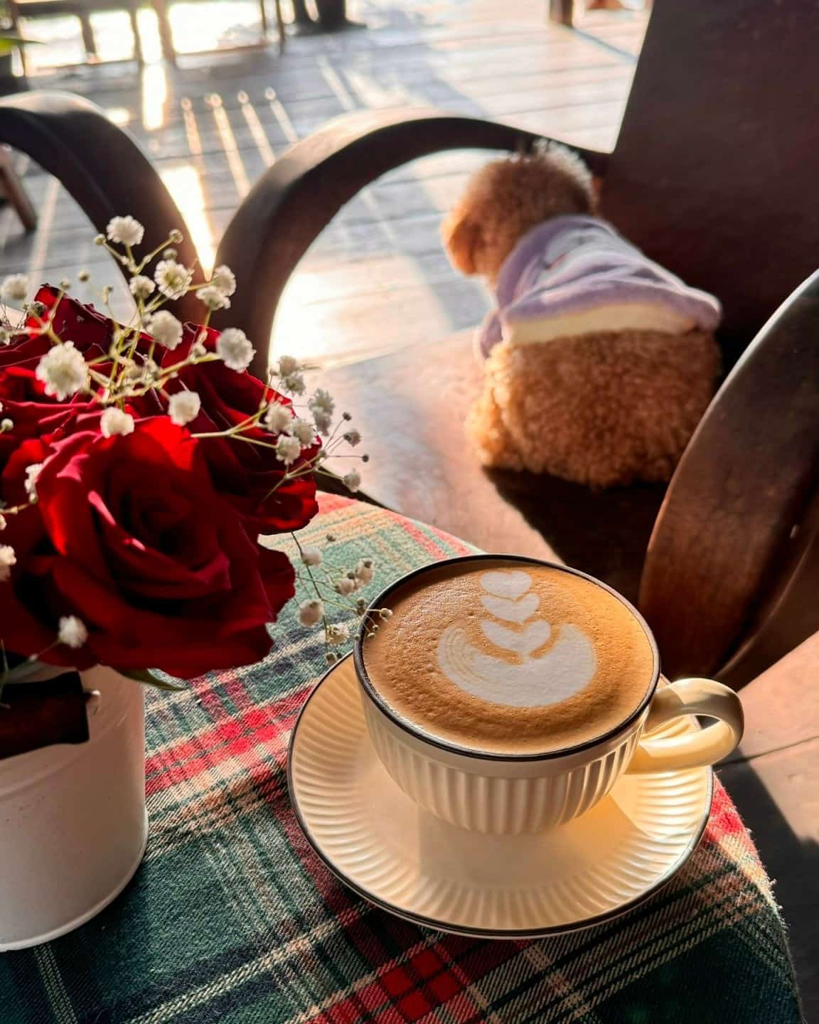 Café Nắng Thủy Tinh – ‘Lá Phổi Xanh’ Chuẩn Len Boutique Giữa Rừng Thông Đà Lạt
