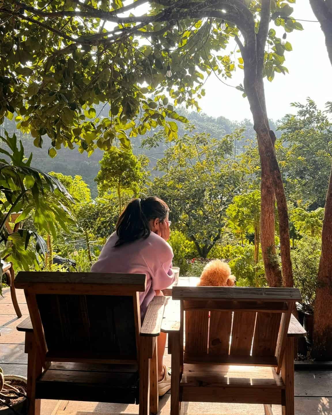 Café Nắng Thủy Tinh – ‘Lá Phổi Xanh’ Chuẩn Len Boutique Giữa Rừng Thông Đà Lạt