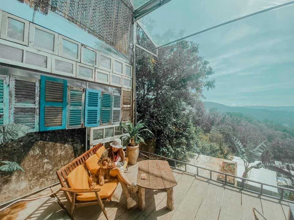 Gâu Garden – Xứ Sở “Sống Ảo” Cho Hội Yêu Cún Giữa Lưng Chừng Đồi