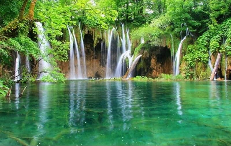 image (51)