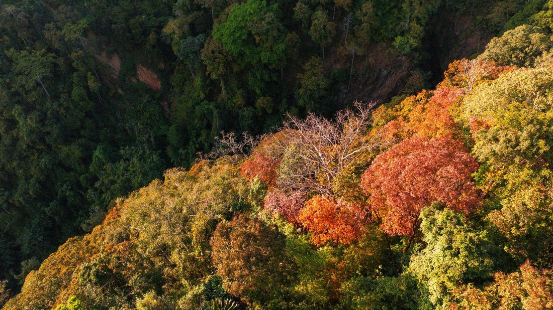 Măng Đen - Mùa rừng thay lá kỳ ảo như trong phim