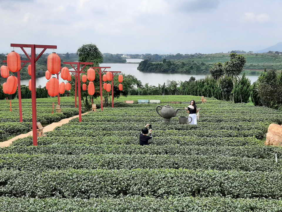 Chùa trà - Ngôi chùa giữa đồi trà Bảo Lộc