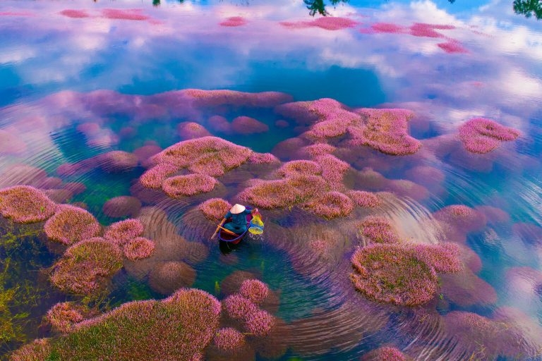 Hồ tảo hồng ở B’lao - Thiên đường giữa chốn hoang sơ