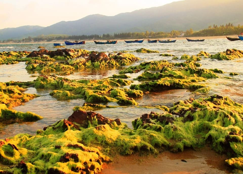 Lộ Diêu – Bức tranh hoang sơ giữa lòng biển Hoài Nhơn