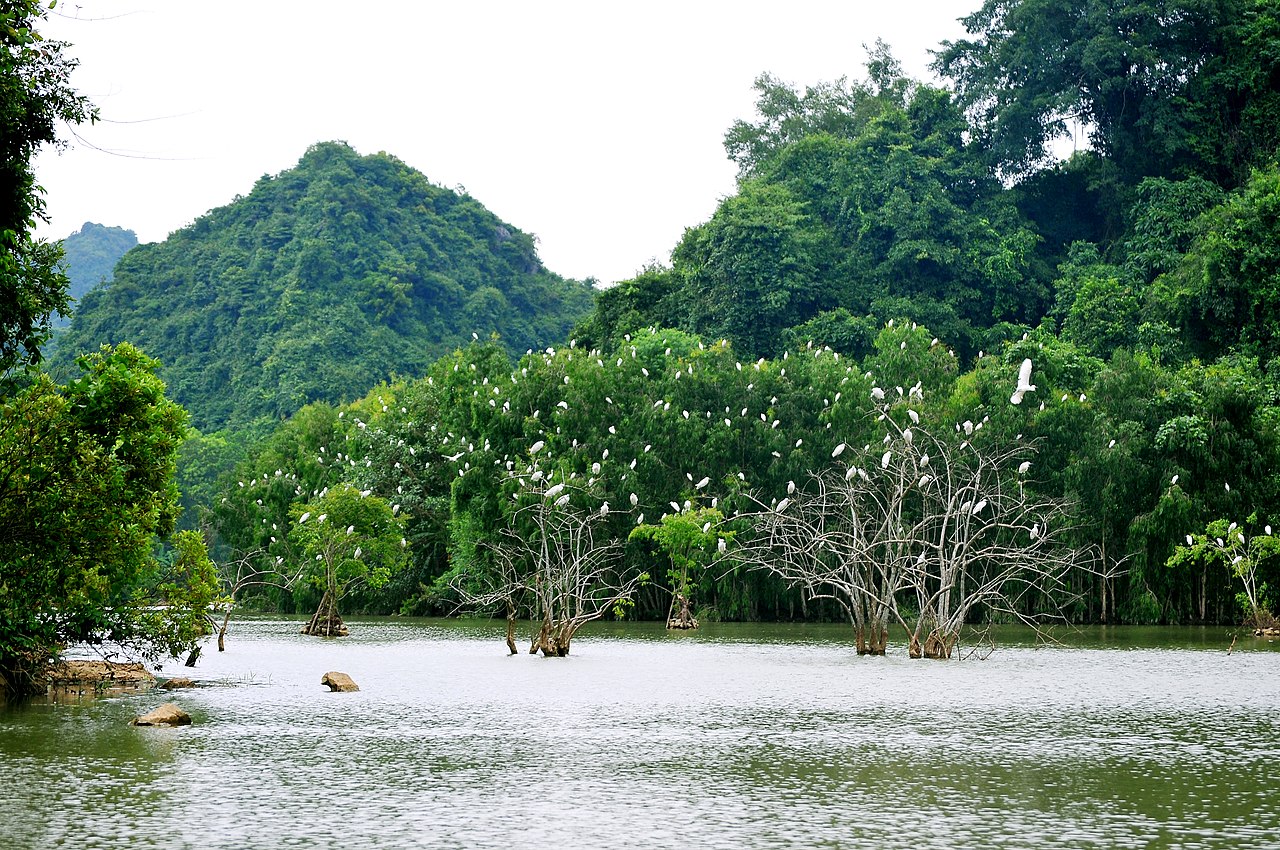Khu du lịch sinh thái Thung Nham - Một trong những điểm đến nổi tiếng ở Ninh Bình
