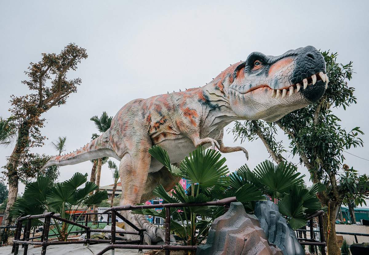 Công viên khủng long - Điểm đến thú vị bạn không nên bỏ lỡ