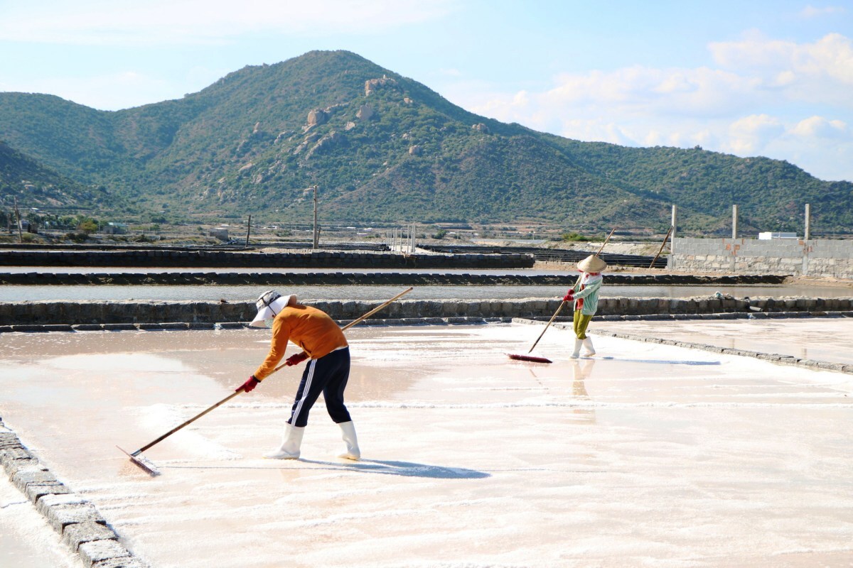 canh dong muoi dam vua canh dong tuyet trang giua troi ninh thuan 2 1658202566