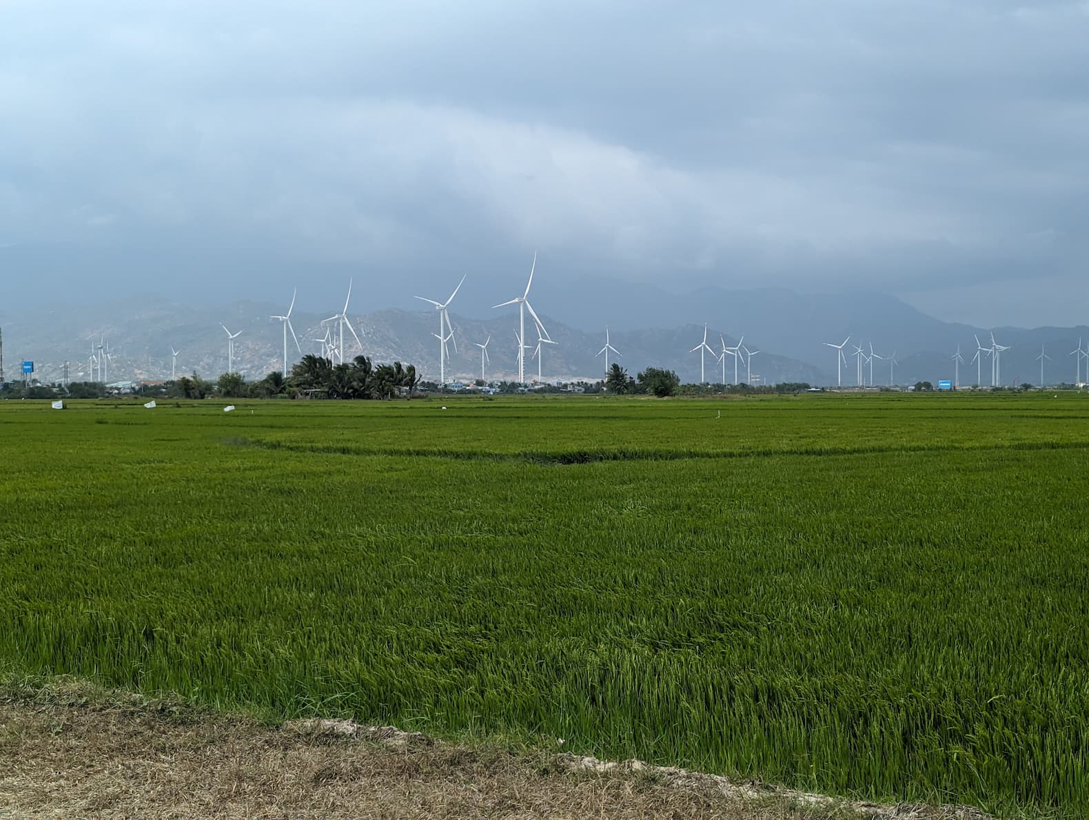Cánh đồng điện gió Đầm Nại - Bản hòa tấu của gió giữa đất trời Ninh Thuận