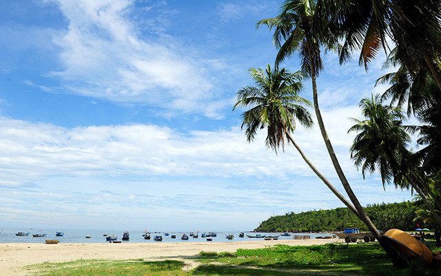 Tam Hải – Hòn đảo xinh đẹp nhất định phải đến khi tới Quảng Nam