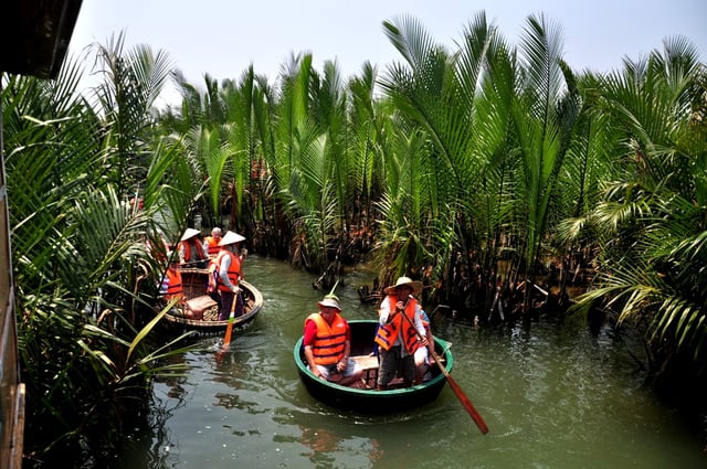 Rừng dừa Bảy Mẫu- “Miền Tây" thu nhỏ giữa lòng Quảng Nam