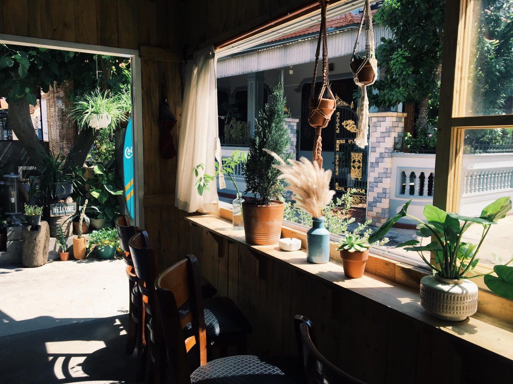 Bayhops café và không gian nhà gỗ mộng mơ