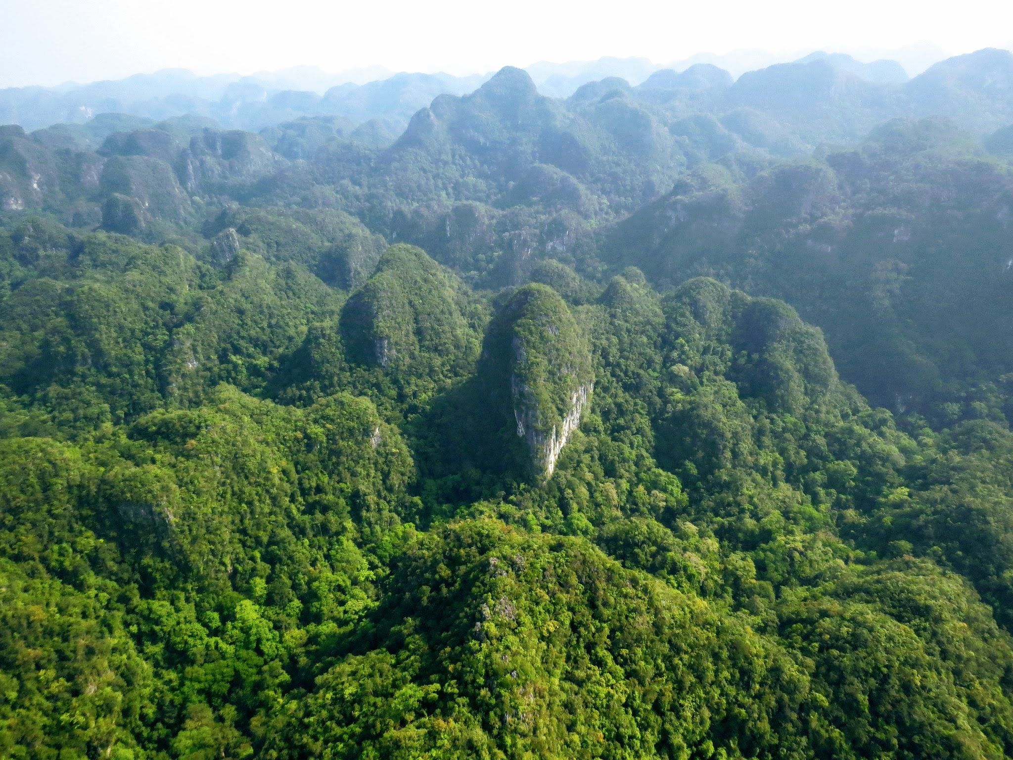 Vườn Quốc gia Phong Nha Kẻ Bàng Quảng Bình và vẻ đẹp xứng tầm di sản thế giới