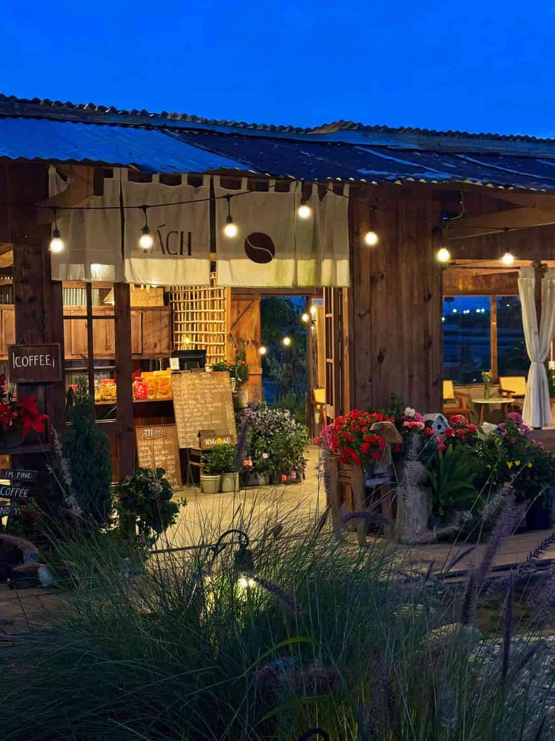 Tách – Tiệm cà phê giữa lòng Đà Lạt ôm trọn núi đồi mộng mơ