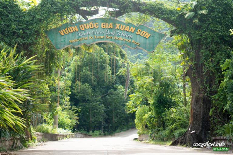 Vườn Quốc gia Xuân Sơn – Viên ngọc xanh giữa vùng đất Tổ Phú Thọ