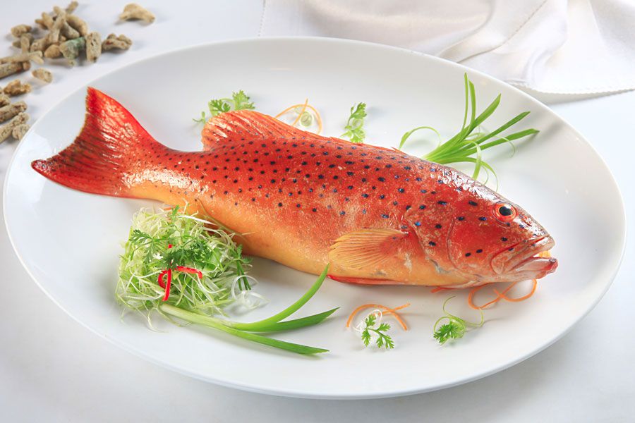 Cá mú đỏ - Thưởng thức hương vị đậm mùi tiền