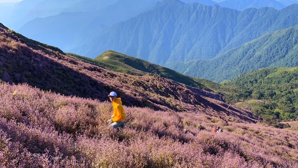 Tà Chì Nhù - Nơi trekking chinh phục nóc nhà Yên Bái