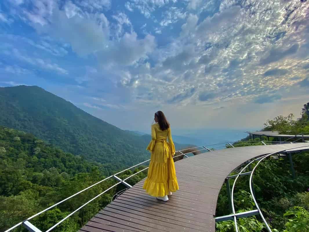 Cầu Mây Tam Đảo – “Góc Sống Ảo Triệu View” Giữa Lưng Chừng Mây Trời